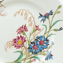 Charger l&#39;image dans la galerie, Assiette plate française 19e siècle Lunéville bleuets N11