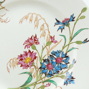 Assiette plate française 19e siècle Lunéville bleuets N11